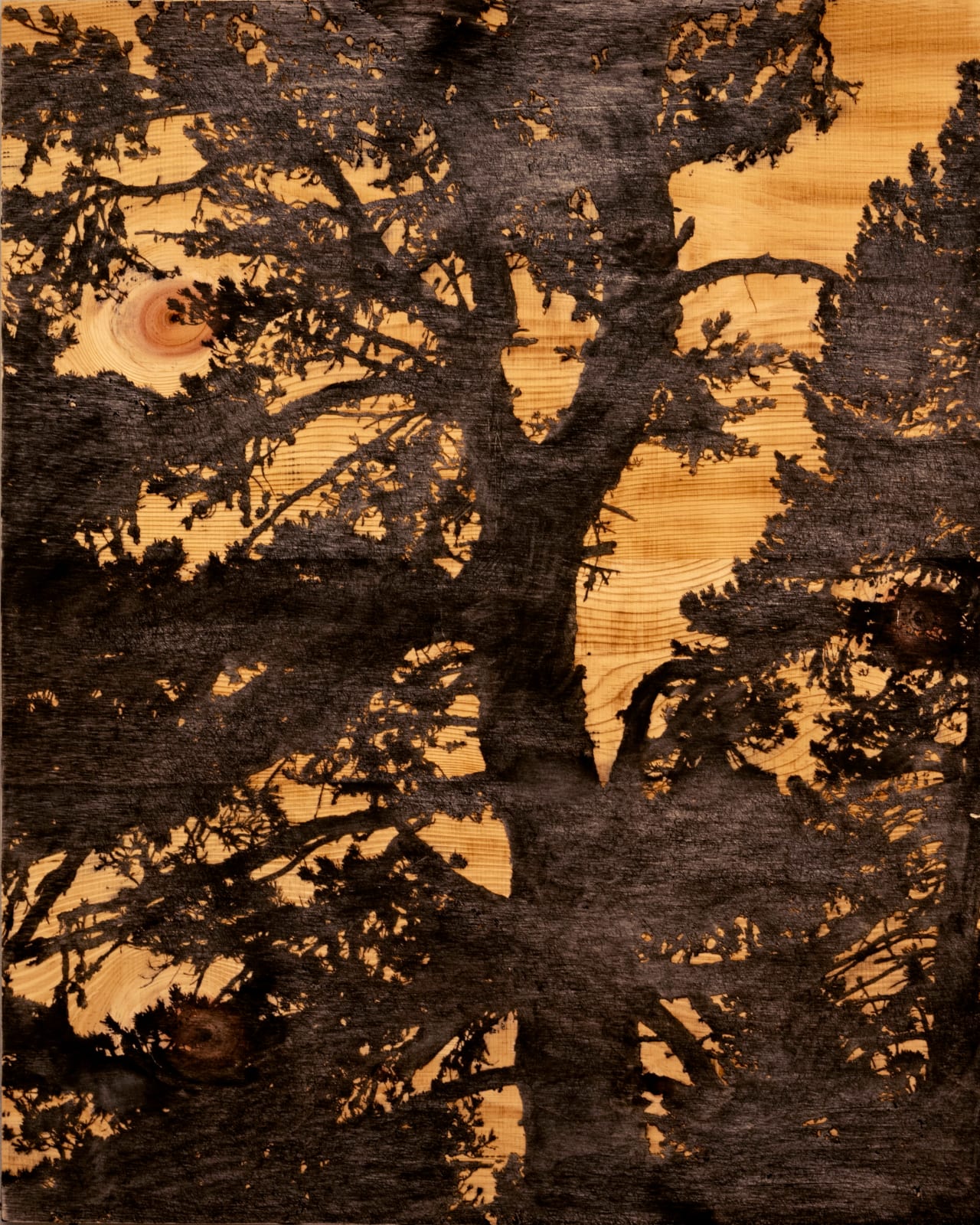 Douglas Mandry, Resilienza no. 1, Engadine, 2022