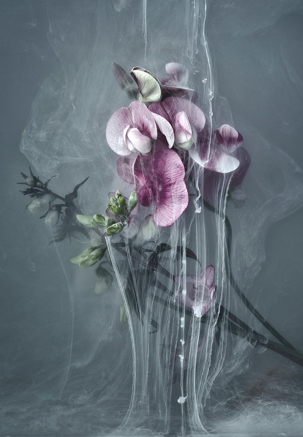 Danielle Kwaaitaal, Après Nous le Deluge Series - Leger, 2015