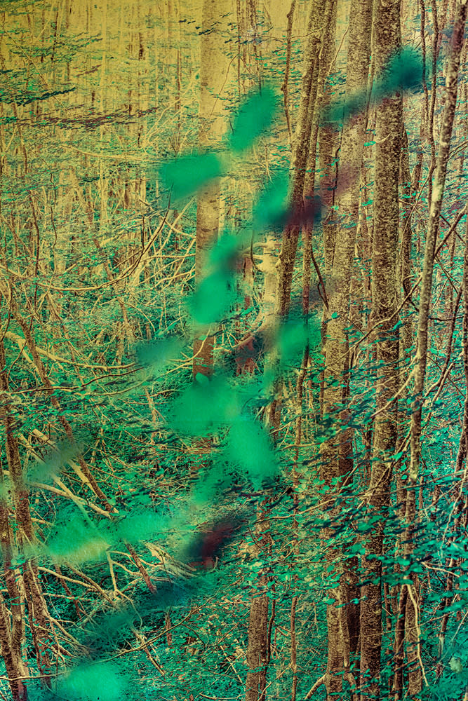 Albarrán Cabrera, The Indestructible #70018, 2024