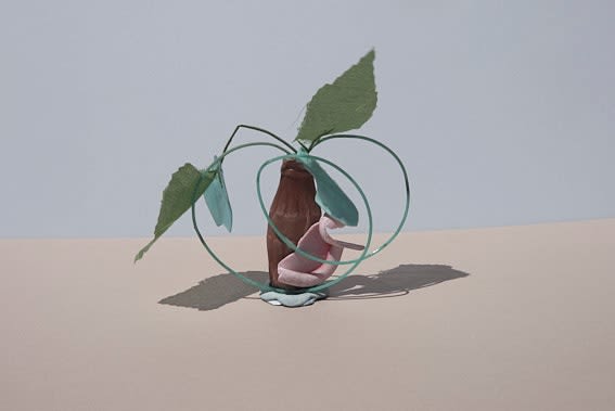 Thirza Schaap, apple, 2021