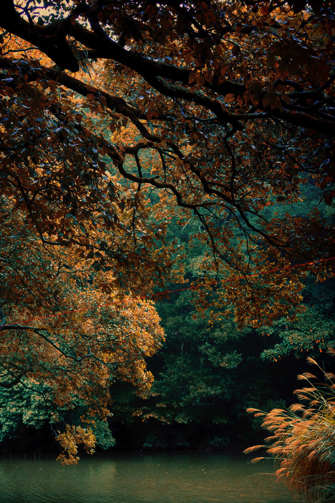 Albarrán Cabrera, The Mouth of Krishna #60200, 2016