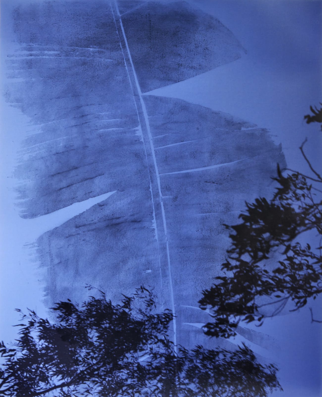 Douglas Mandry, After the Ashes #15, 2023