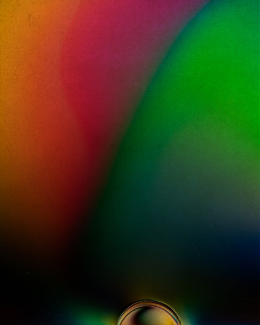 Albarrán Cabrera, Polarized #55004, 2020