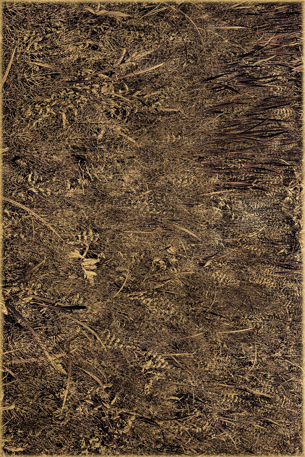 Albarrán Cabrera, The Mouth of Krishna #31, 2014