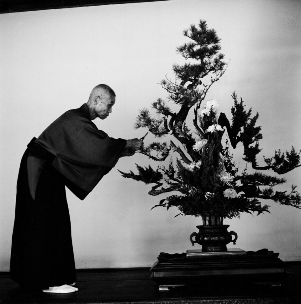 Werner Bischof, Mann mit Bonsai, Tokio, Japan, 1951