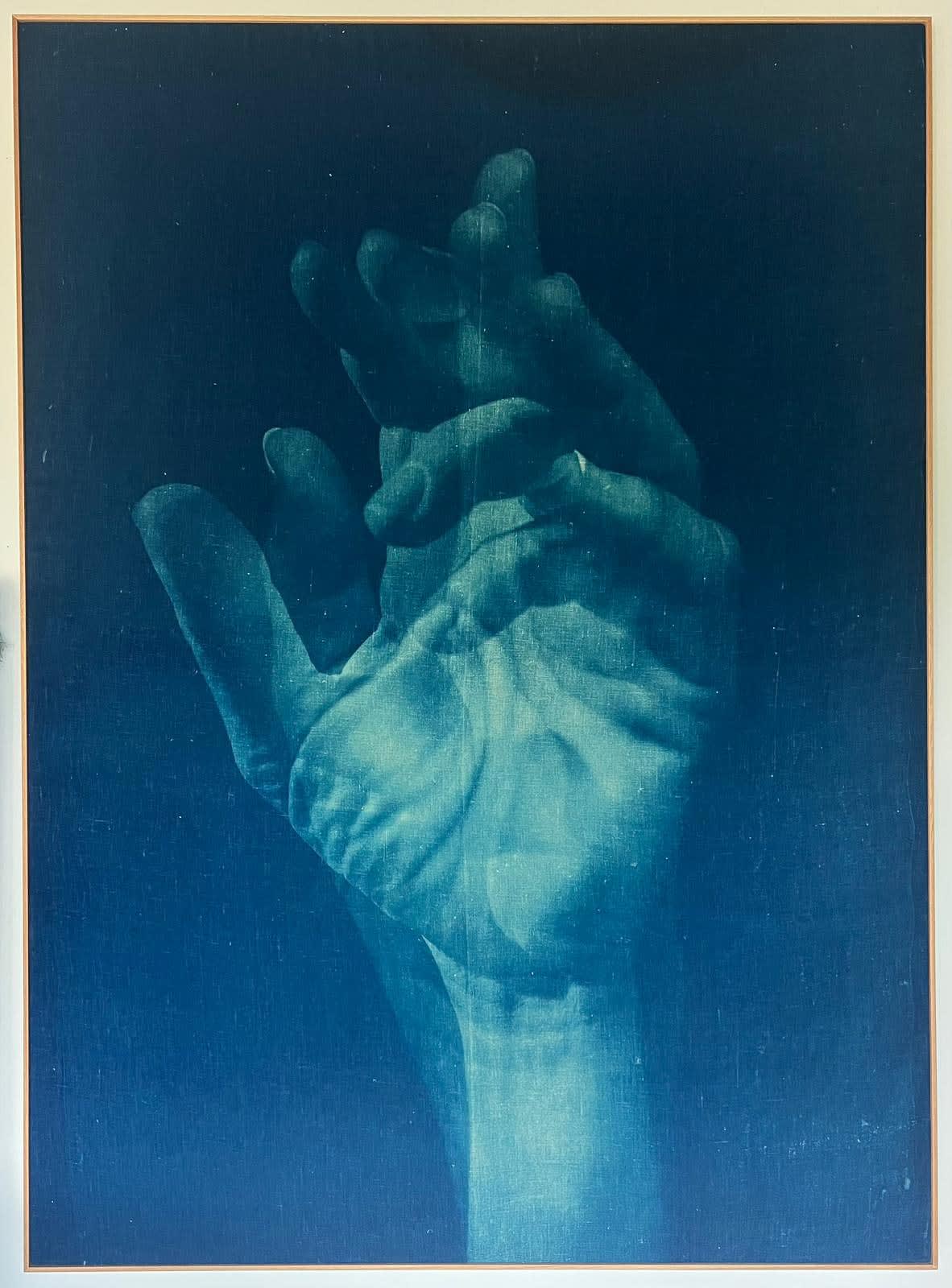 Adam Jeppesen, Work no. 149, from the series The Pond, 2023