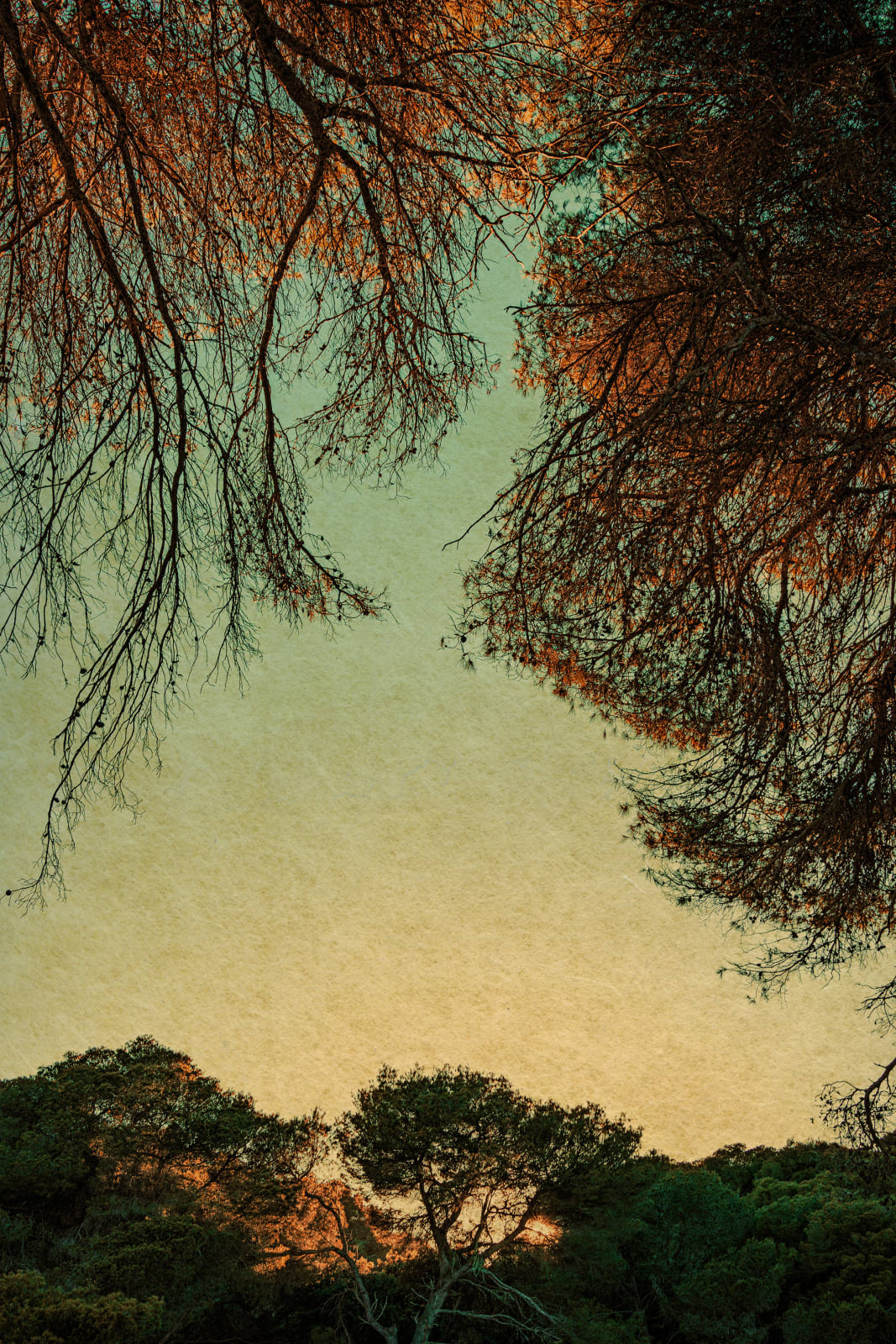 Albarrán Cabrera, The Mouth of Krishna #640, 2019