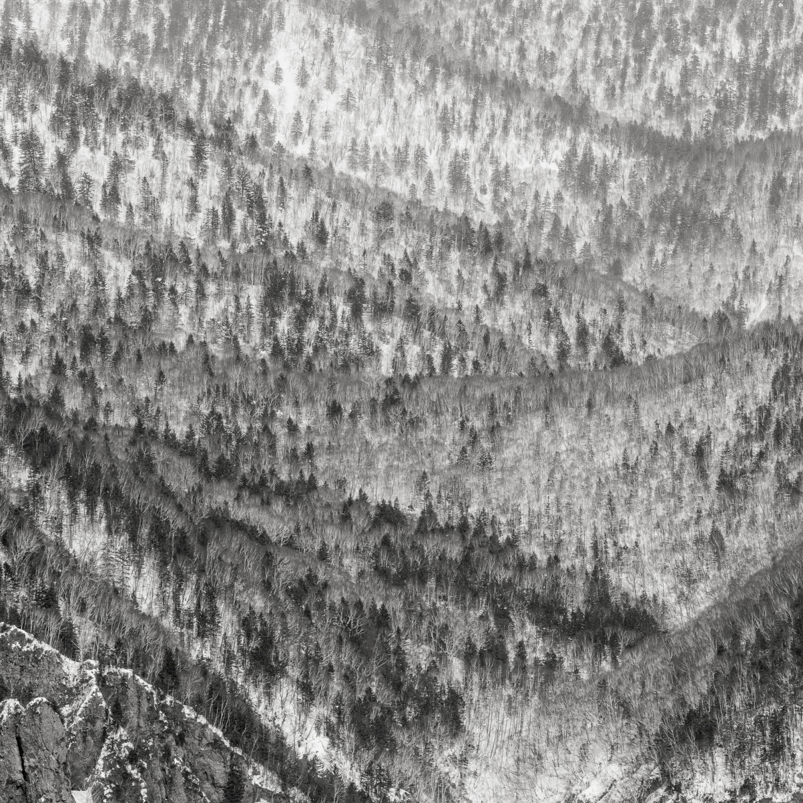 Jeffrey Conley, Folded Hills, Japan, 2025