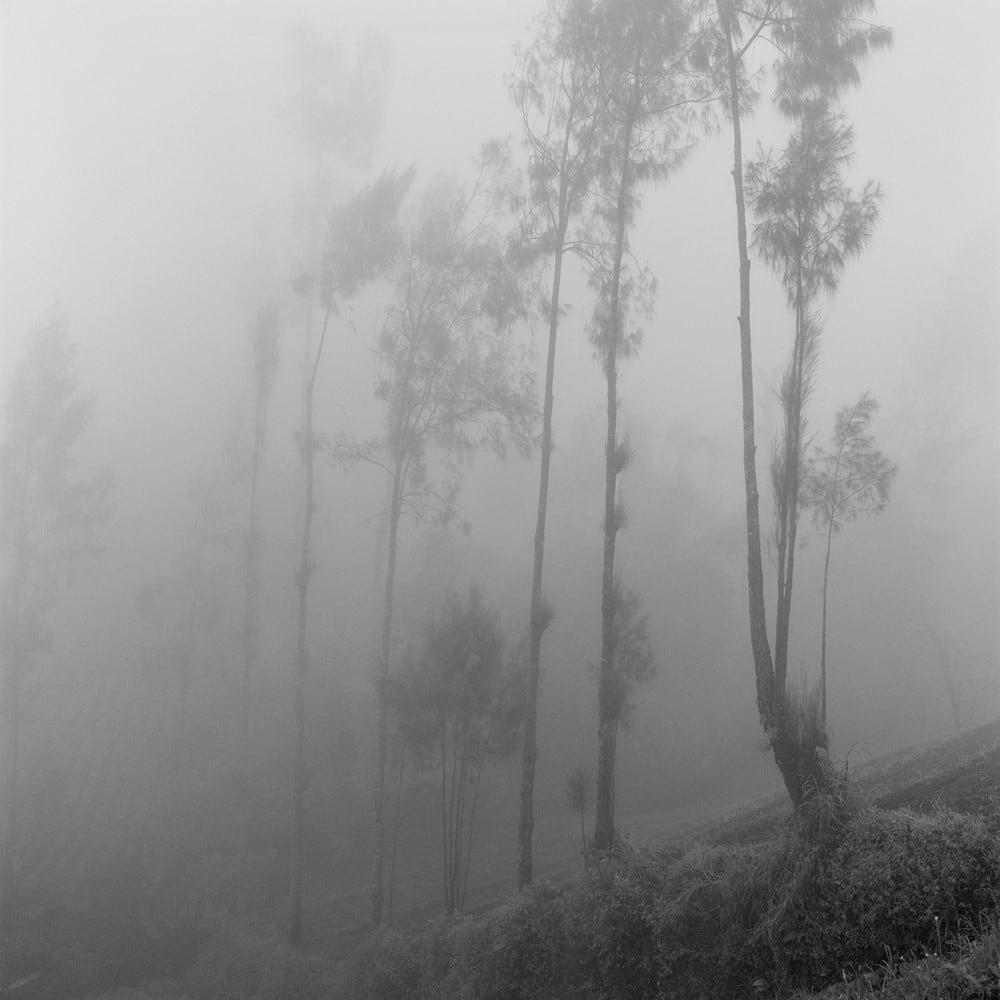 Richard de Tscharner, Voile de brouillard, Java-oriental, Indonésie, 2011