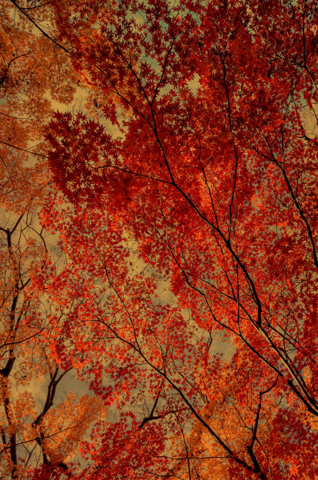 Paul Cupido, Mémoire II, 2022