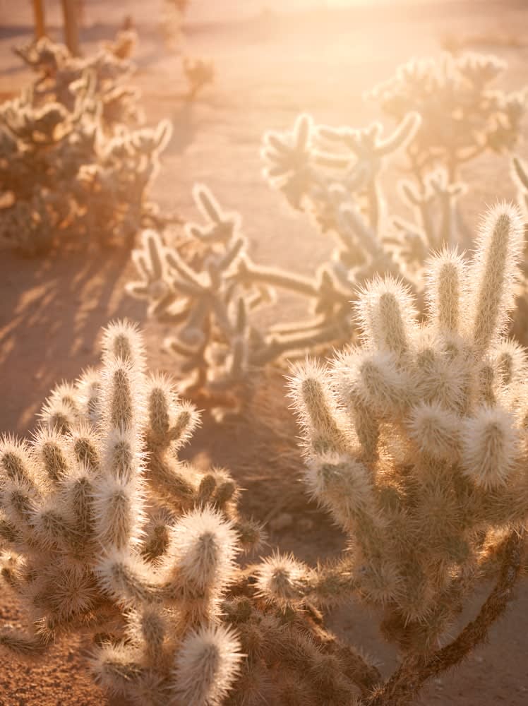 Mona Kuhn, AD 6705, from the series She Disappeared into Complete Silence, 2014