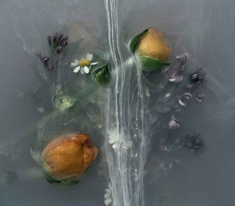 Danielle Kwaaitaal, Après Nous le Deluge Series - Flux, 2015