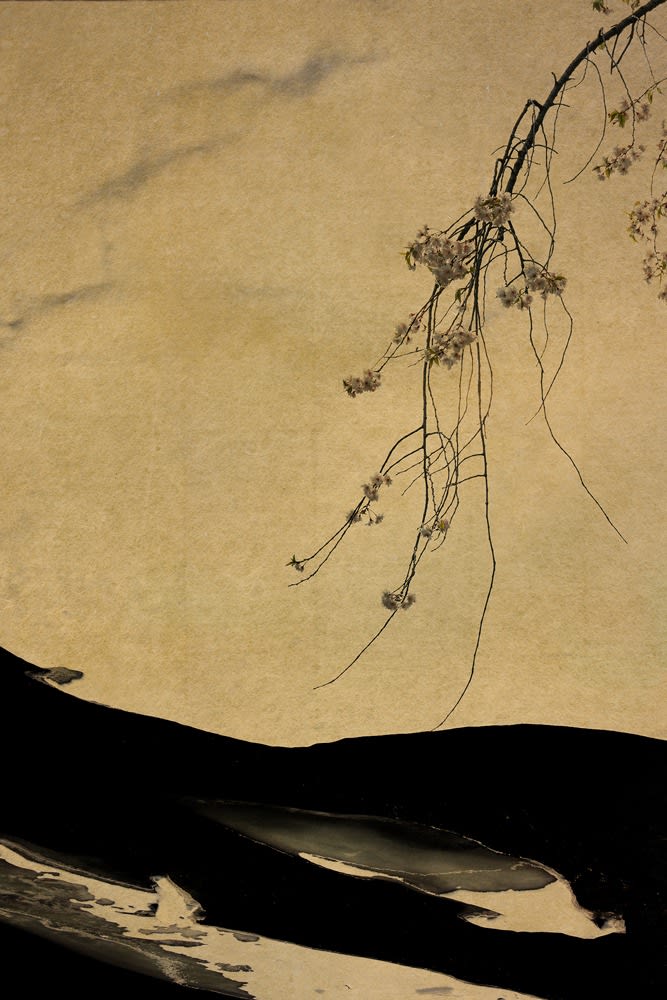 Albarrán Cabrera, The Indestructible #10, 2018