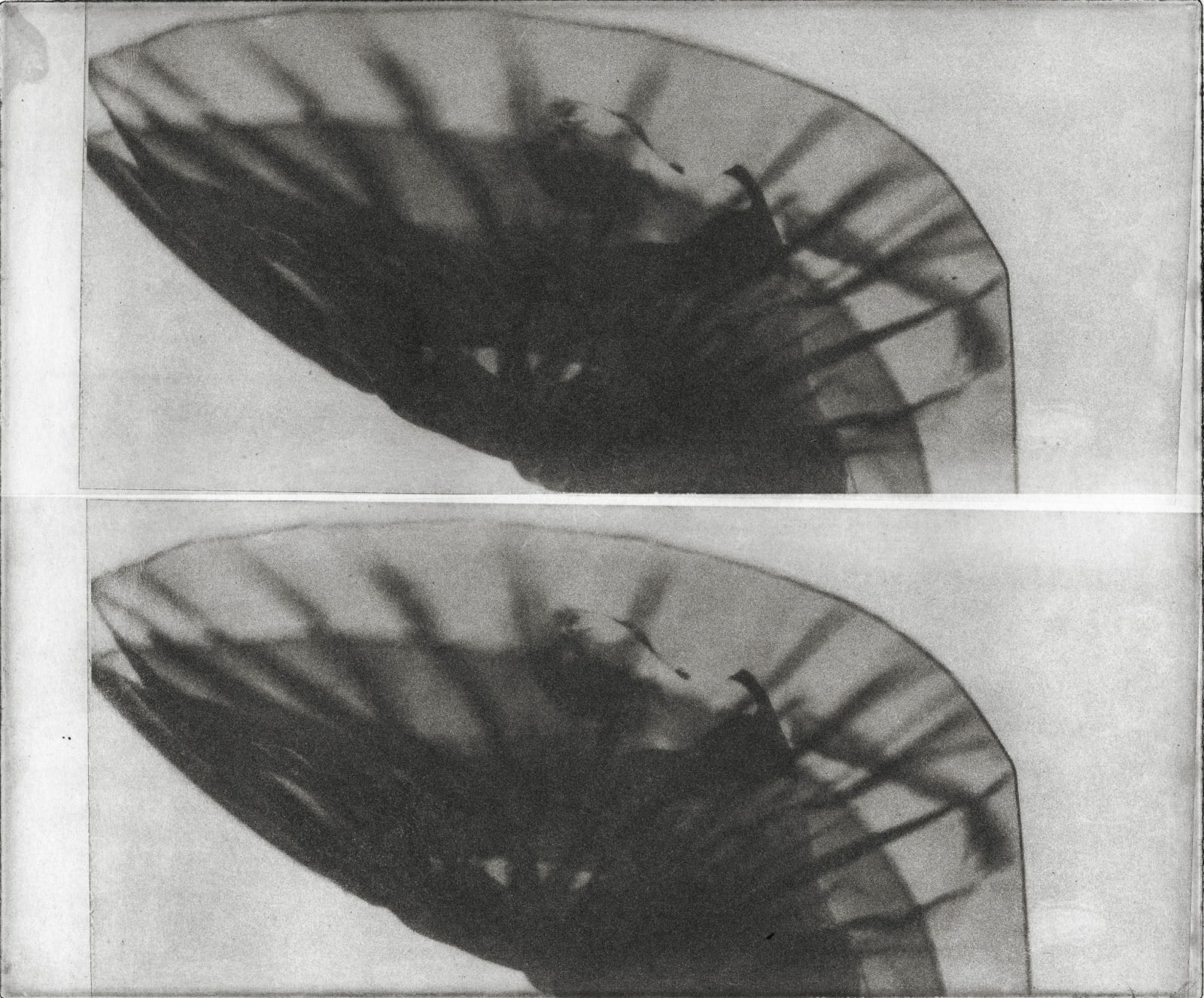 Chantal Elisabeth Ariëns, Her Own Universe/Experimental #7, 2024