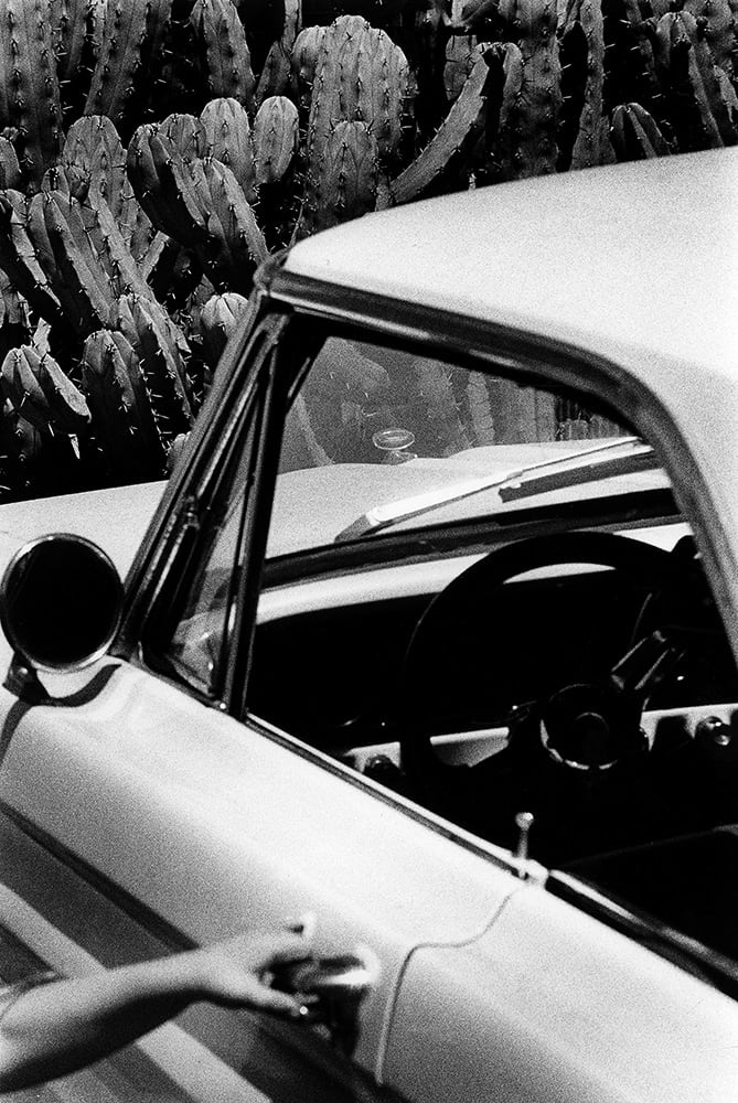 Renato D'Agostin, Archeologies Los Angeles, 2013