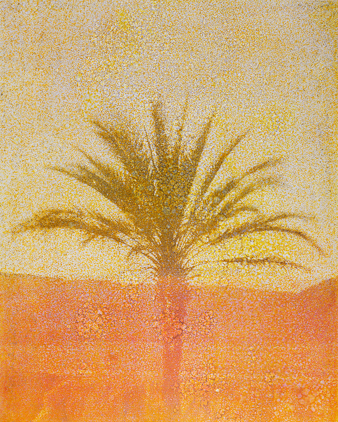 Douglas Mandry, Sans Titre (Tricolor VII), from the series Les Archives de la Planète, 2024