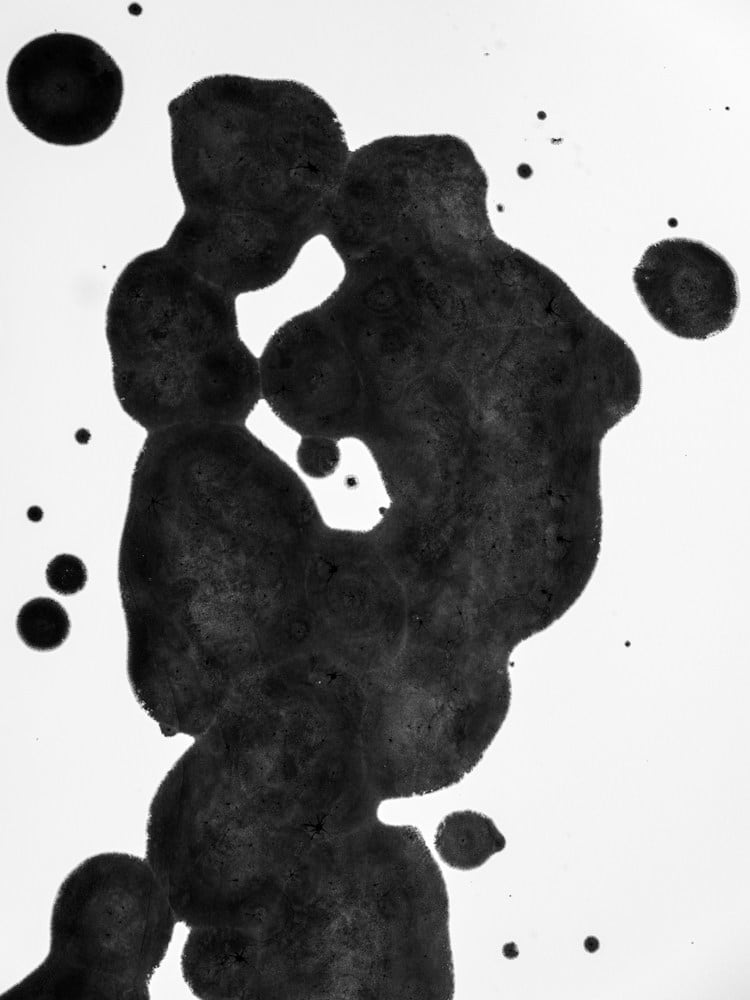 Kacper Kowalski, Composition #420, Poland, 2021