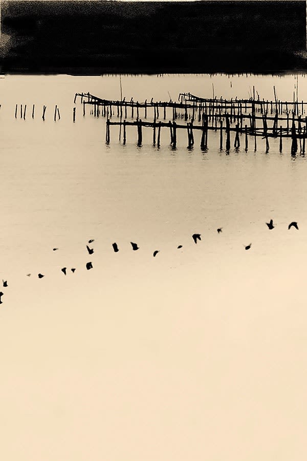 Paul Cupido, Matsushima, Day 3, 2019