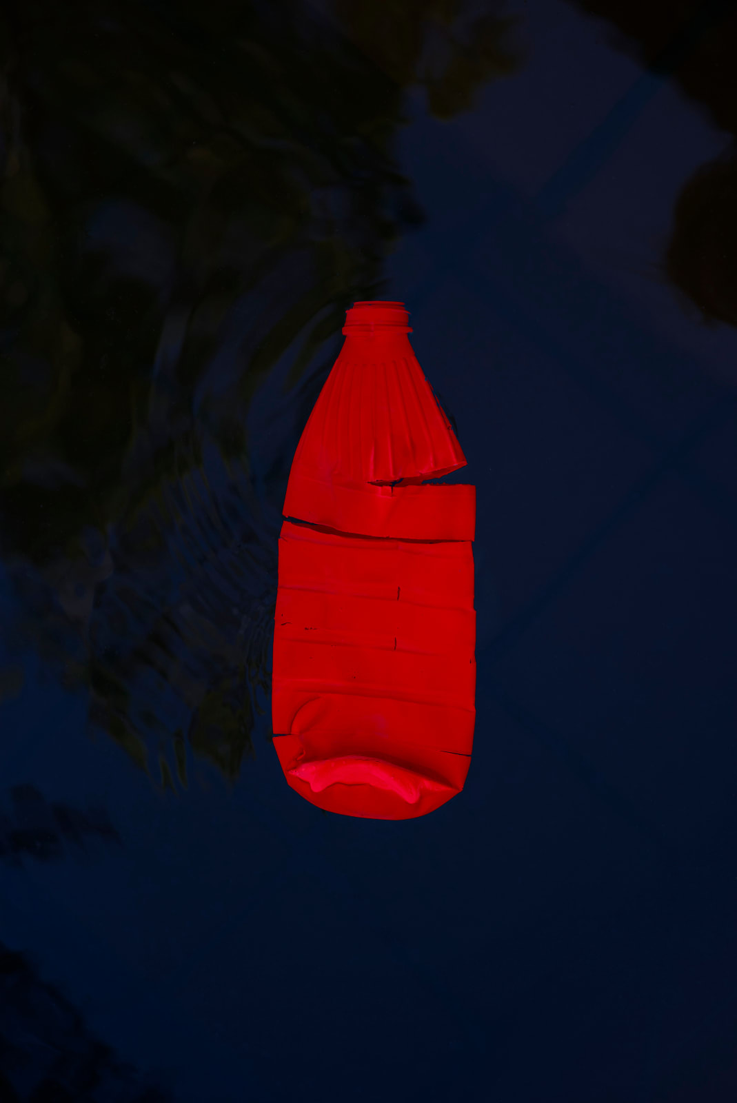 Thirza Schaap, milky way, 2021