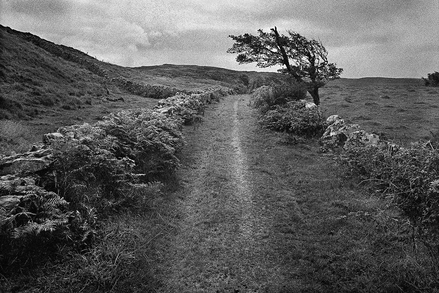 René Groebli, Ireland / Irland (#493), 1981