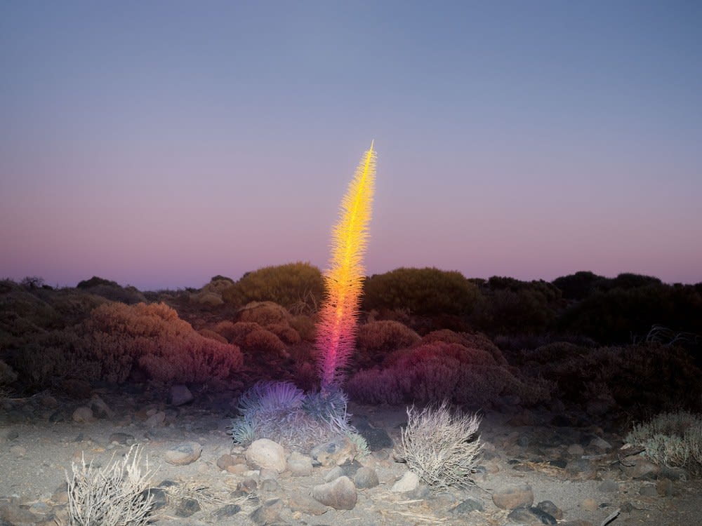 Inka & Niclas, 4K Ultra HD IX, 2018