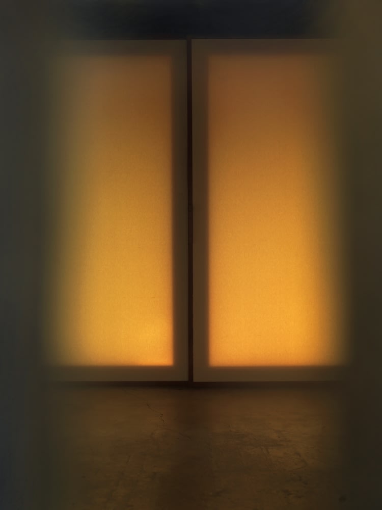 Mona Kuhn, Temple, from the series Kings Road, 2022