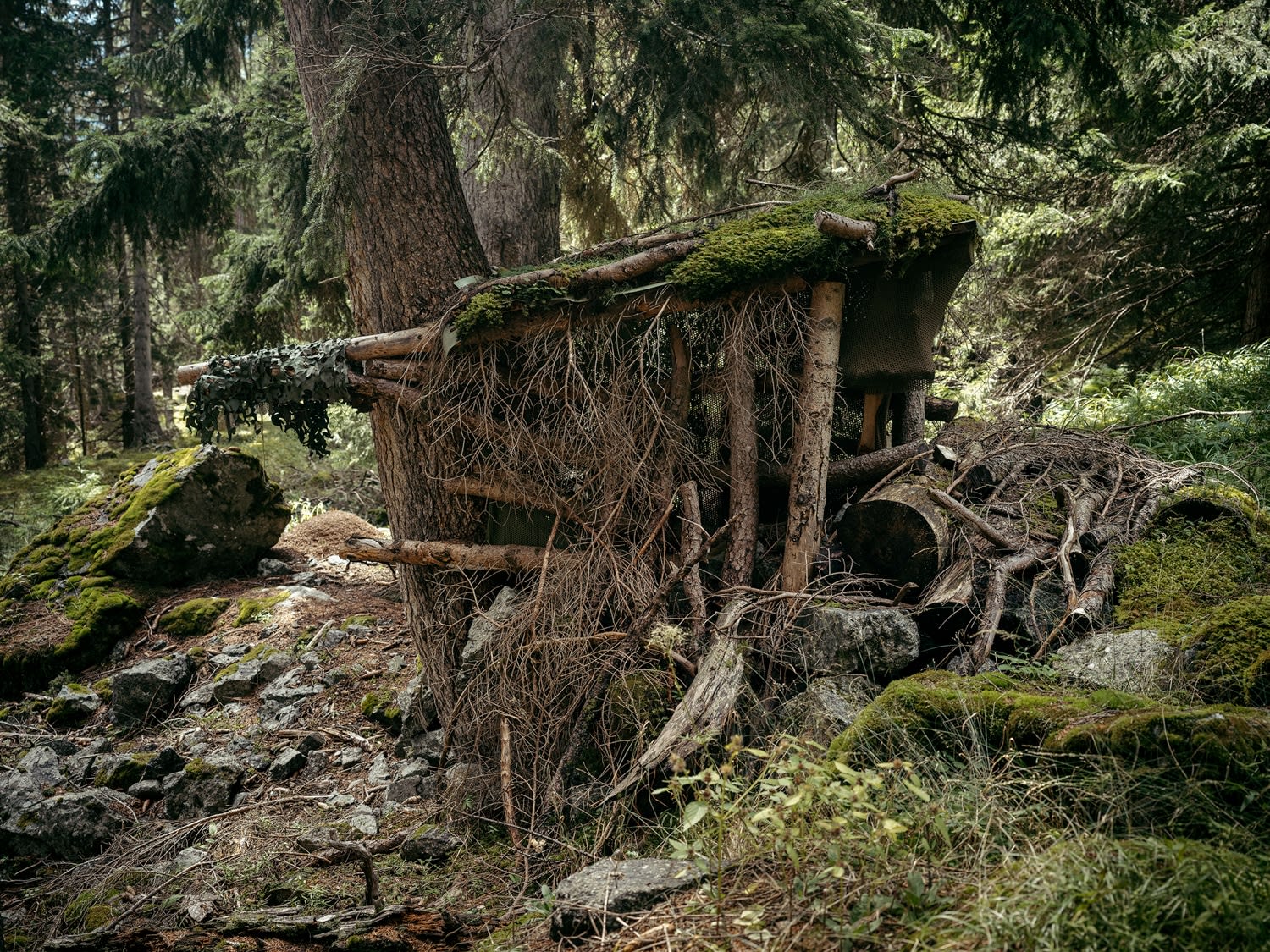 Bruno Augsburger, Camouflage I, 2024