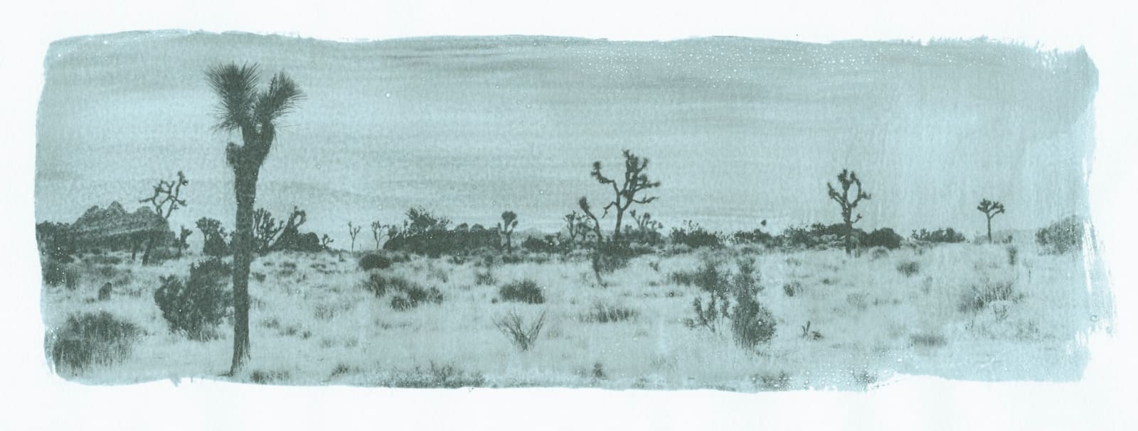 Margaret Lansink, Burn, 2022