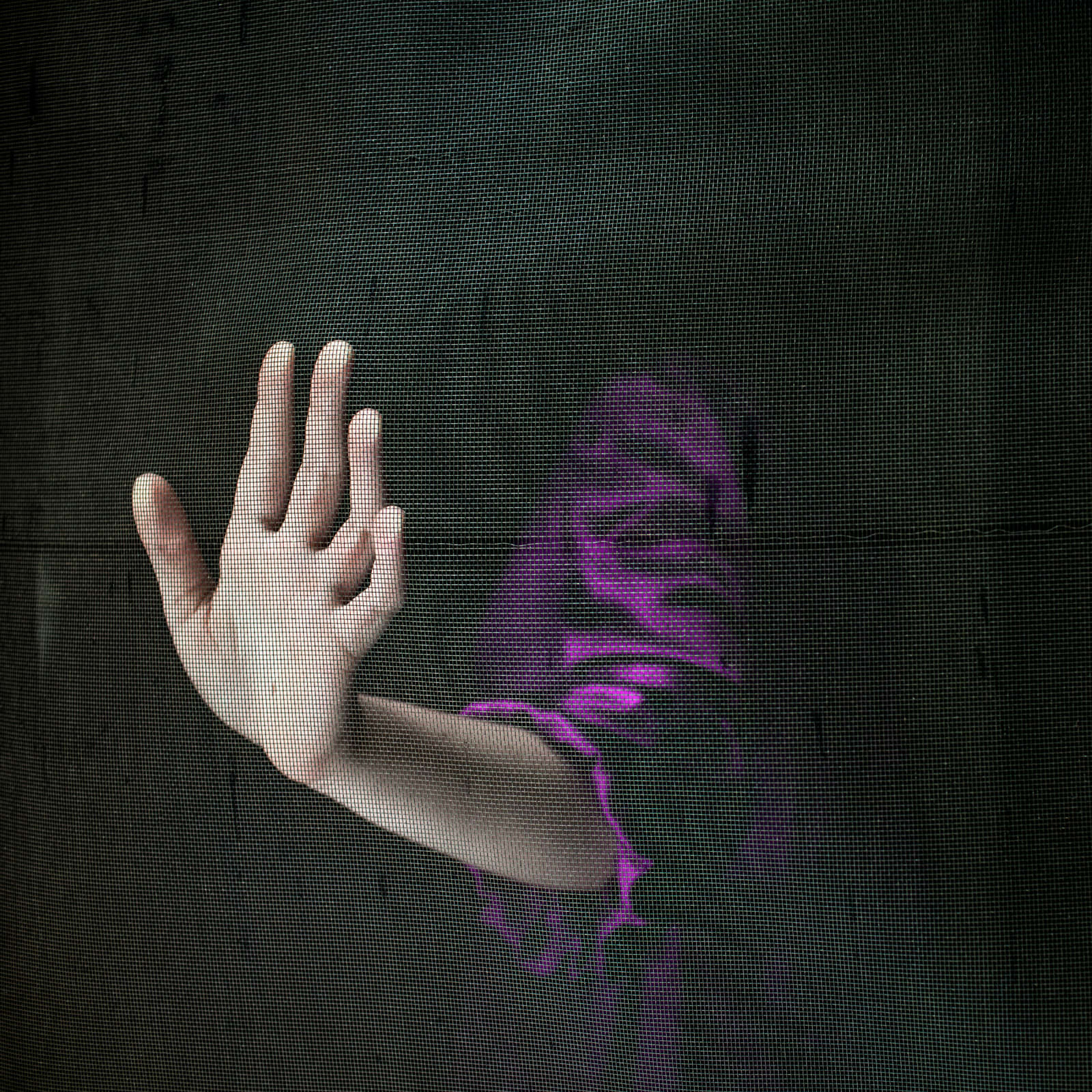 Cig Harvey, The Screen Door, Warren, Maine, 2013