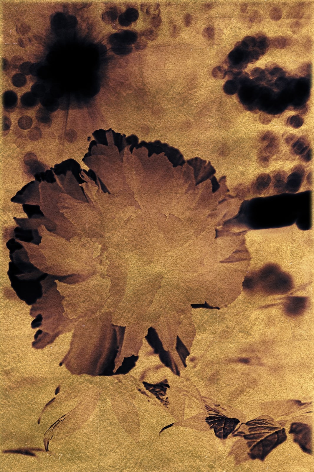 Albarrán Cabrera, The Mouth of Krishna #2003, 2014