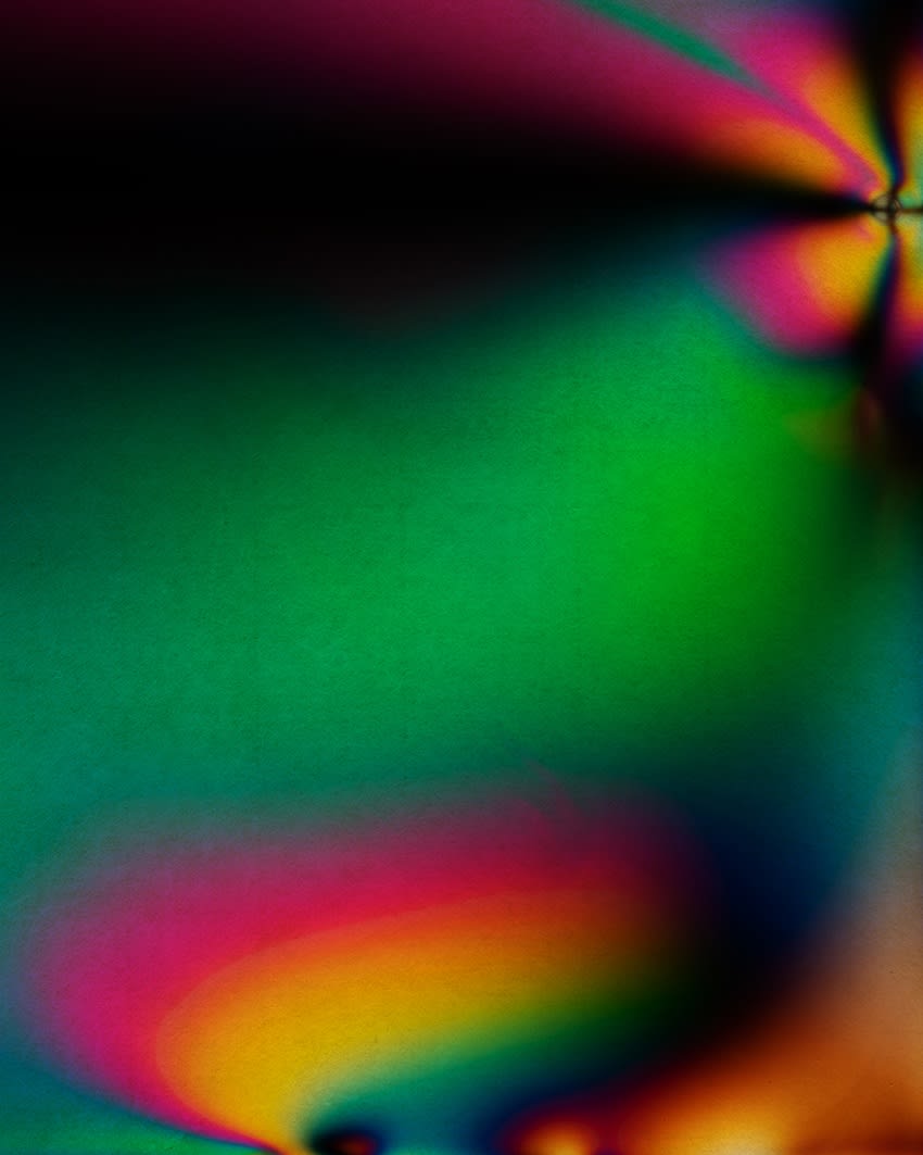 Albarrán Cabrera, Polarized #55003, 2020