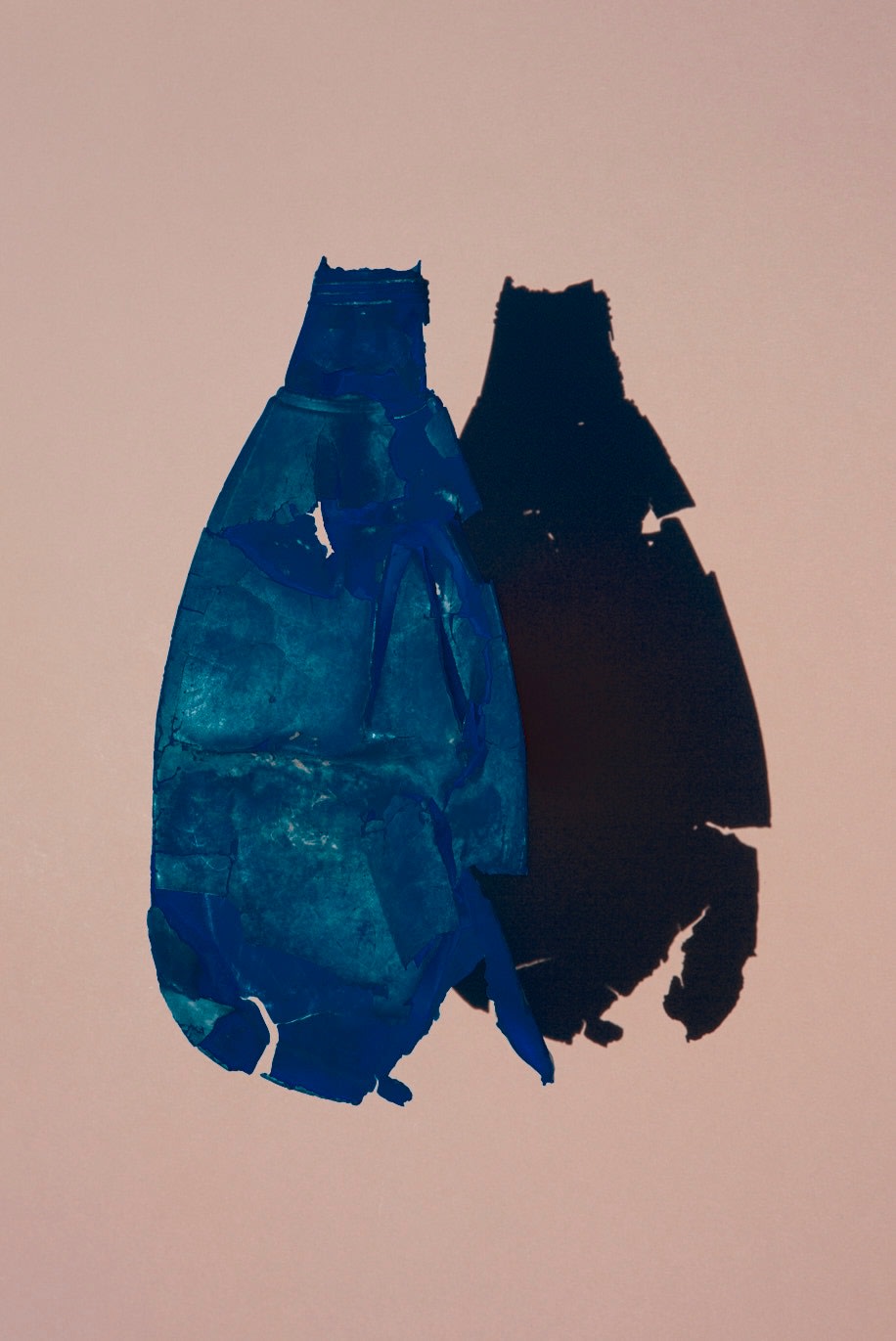 Thirza Schaap, blungs, 2020