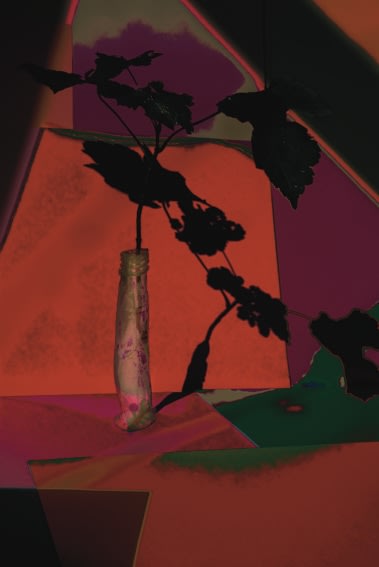 Thirza Schaap, fallen shadow, 2021