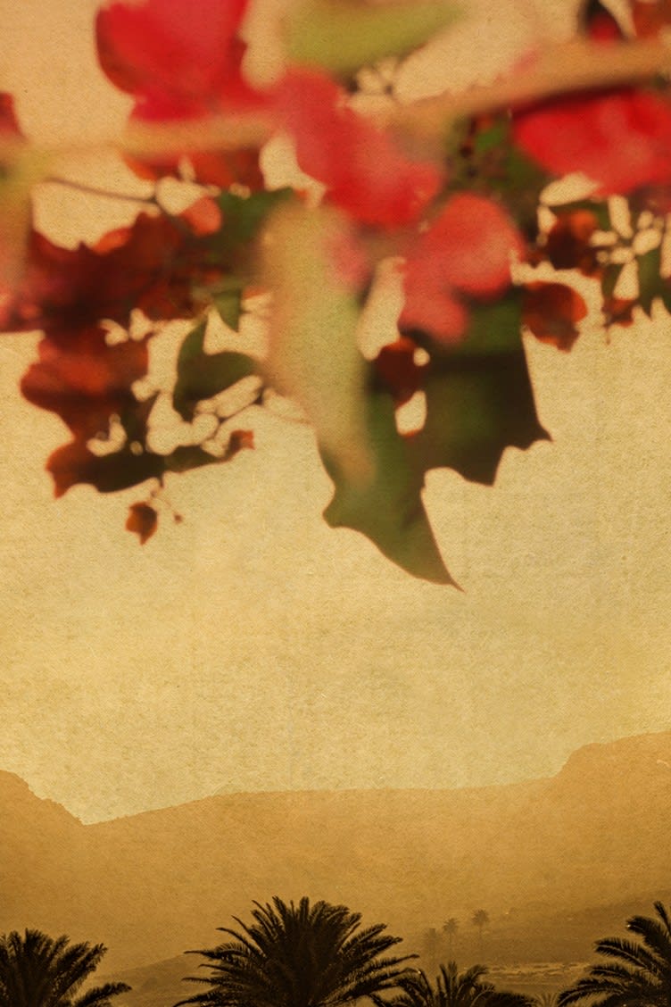 Albarrán Cabrera, The Mouth of Krishna #799, 2019