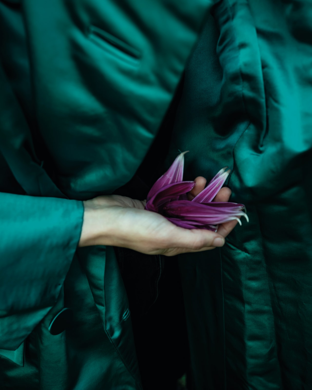 Cig Harvey, Emerald Coat (with dahlia petals), Union, Maine, 2019