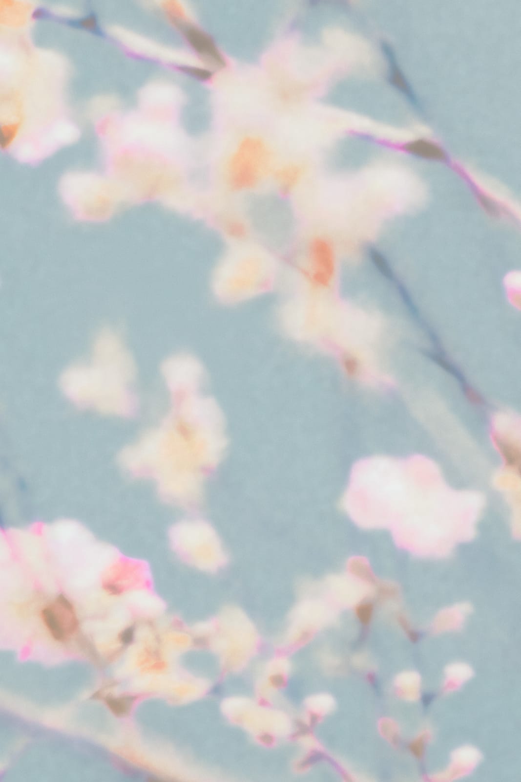 Paul Cupido, Awakening I, 2025