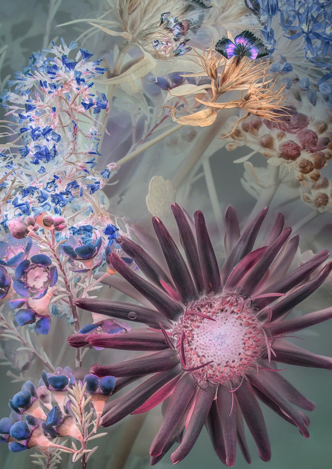 Danielle Kwaaitaal, Florilegium P04, 2017