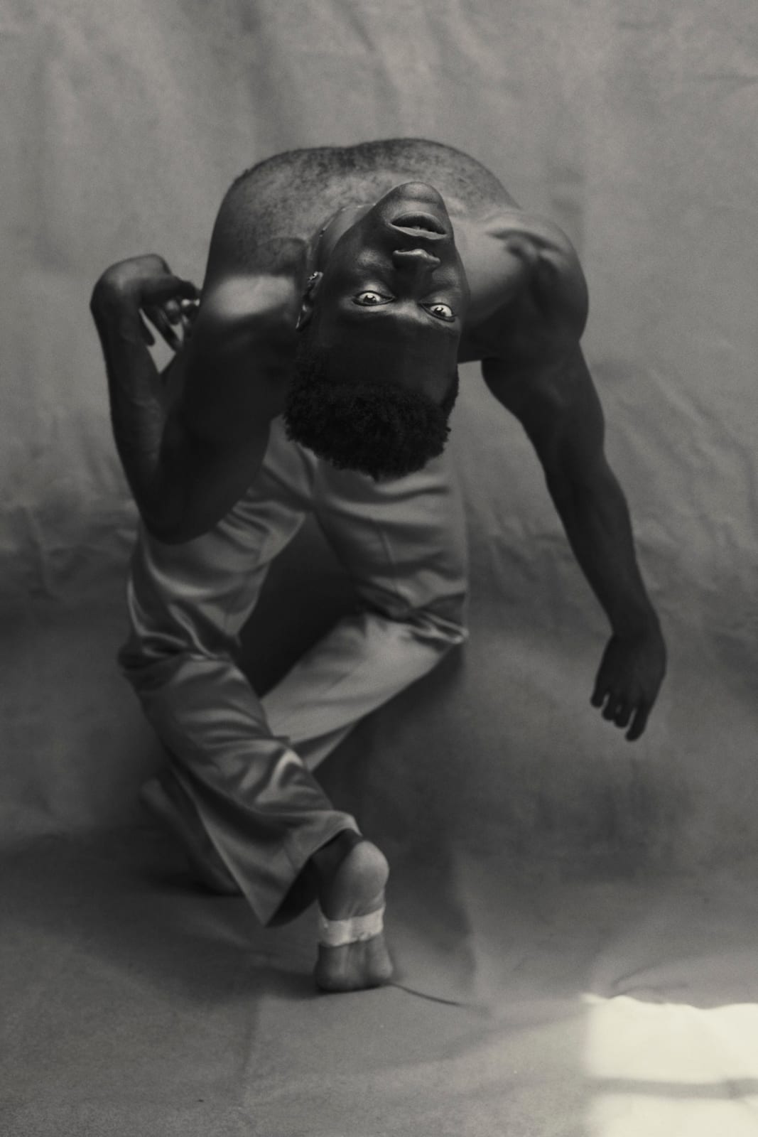 Pieter Henket, TDB, from the series Birds of New York, 2019