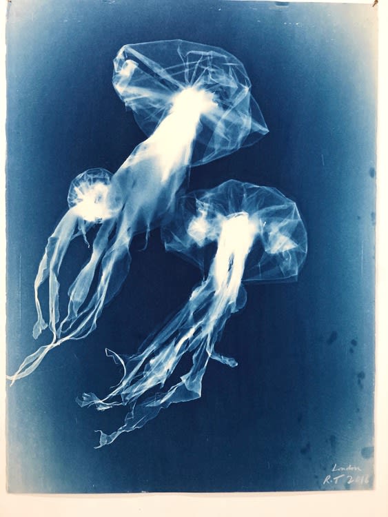 Rachel Thomson, Nott 5, 2016