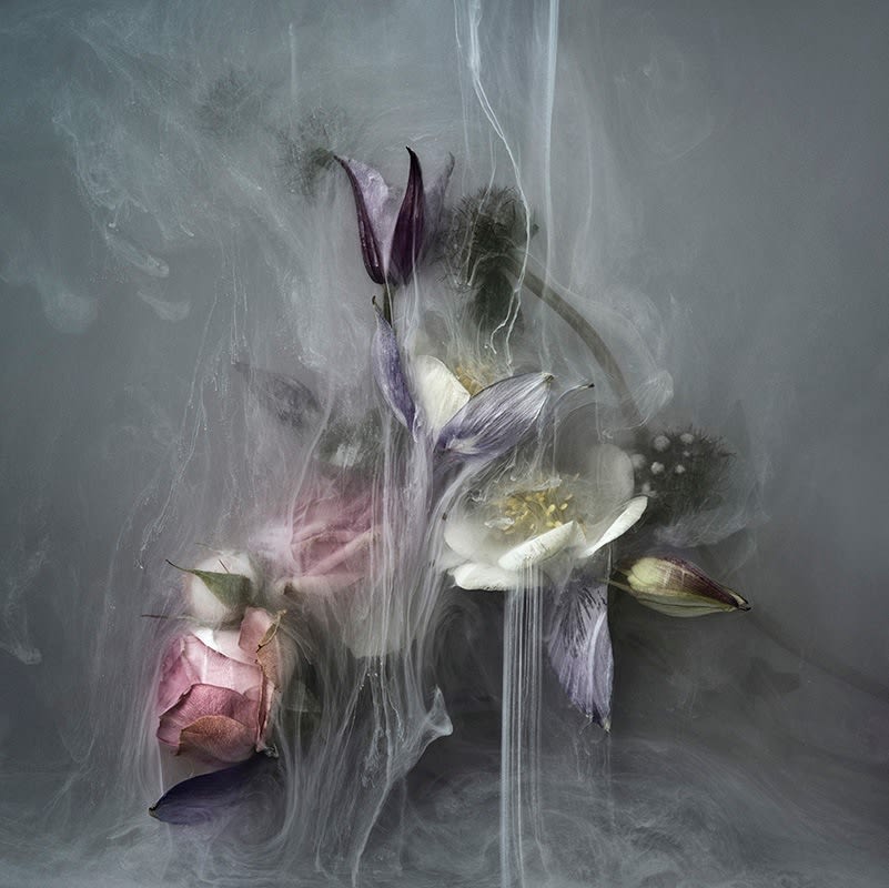 Danielle Kwaaitaal, Après Nous le Deluge Series - Eclater, 2015