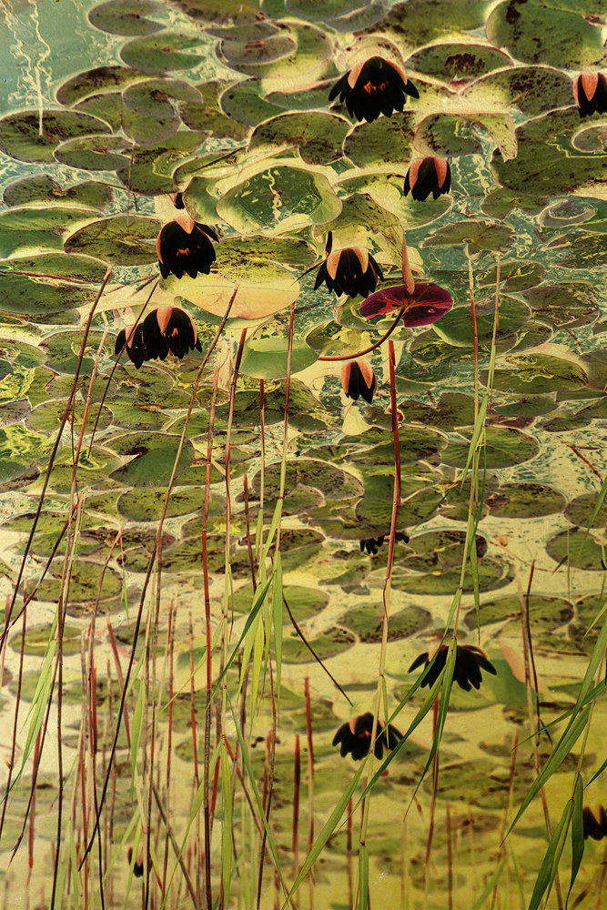 Albarrán Cabrera, The Indestructible #70025, 2019