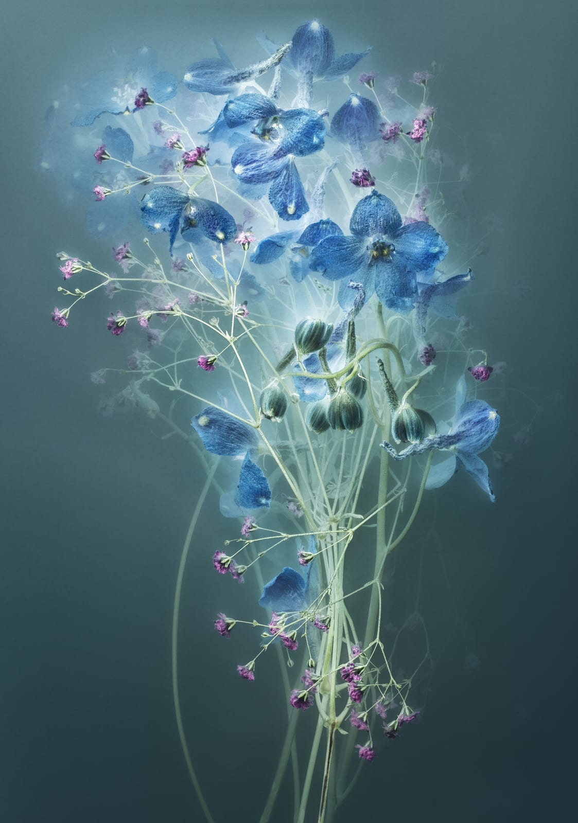 Danielle Kwaaitaal, Florilegium P2024/01, 2024