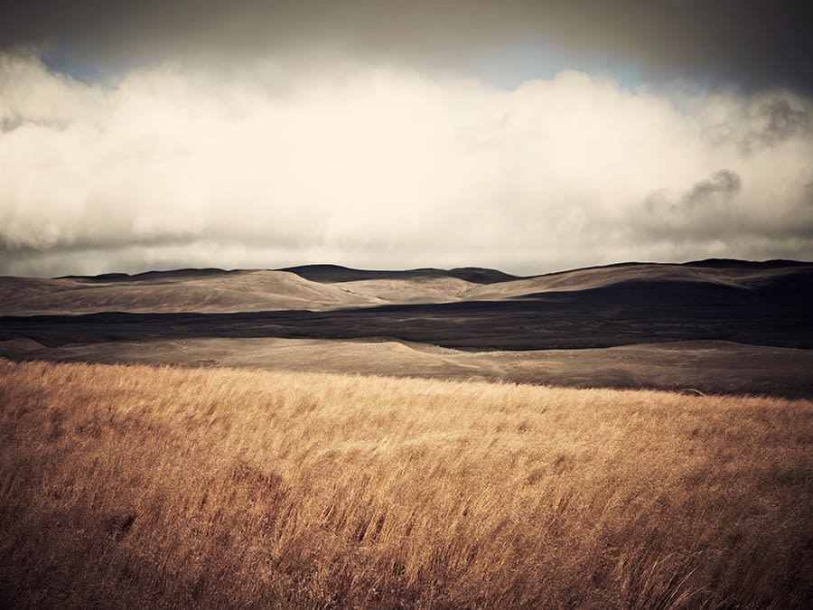 Sandro Diener, Herbstgräser, Iceland, 2010