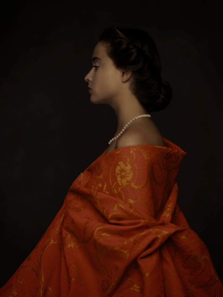 Ilona Langbroek, Subdued Splendor #2, 2022