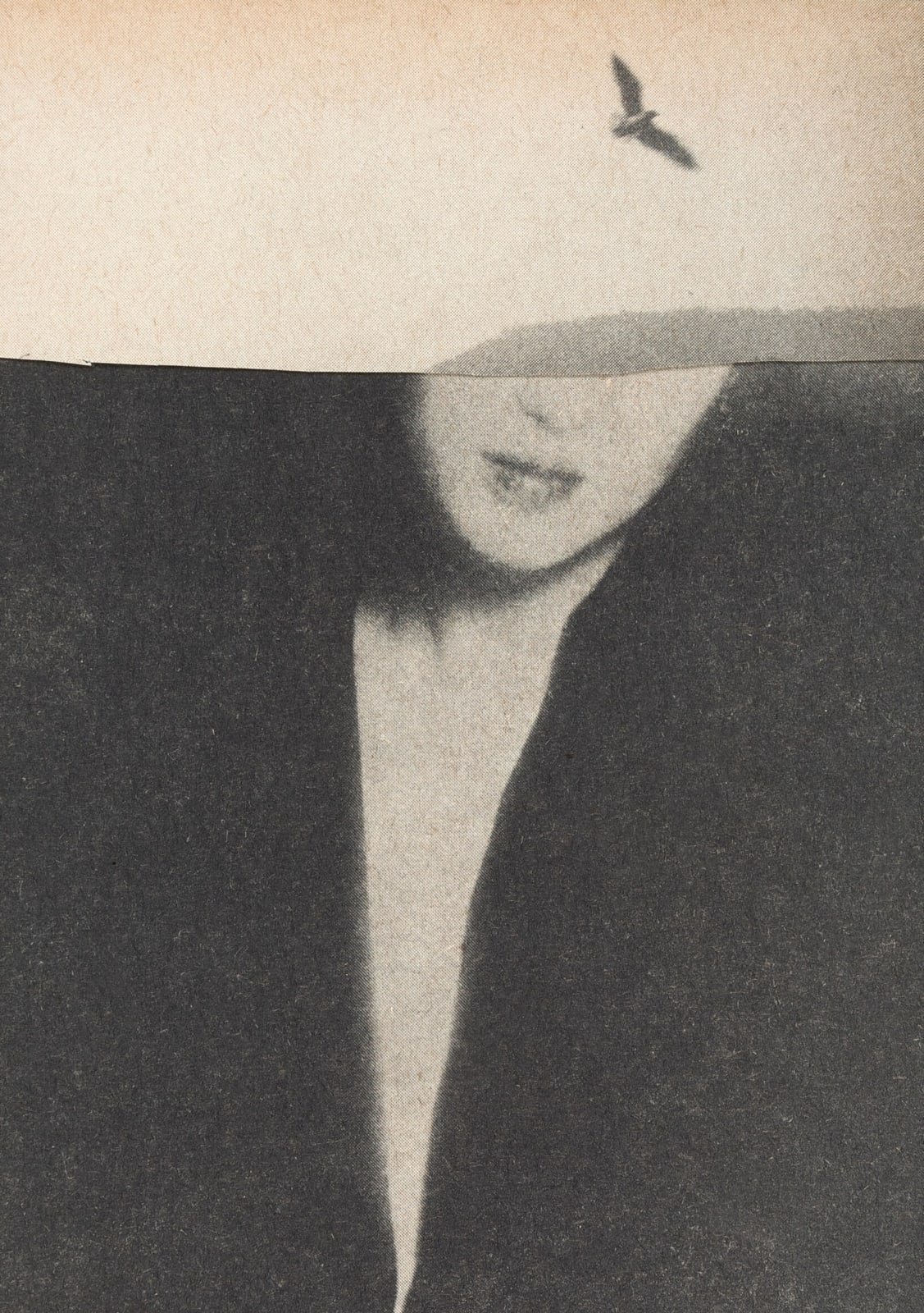 Miriam Tölke, Curve, 2022