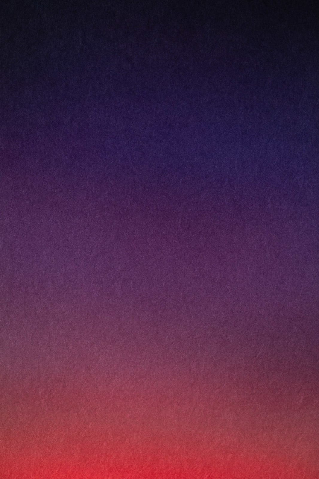 Onoko, Percept 2.19:04, France, 2019