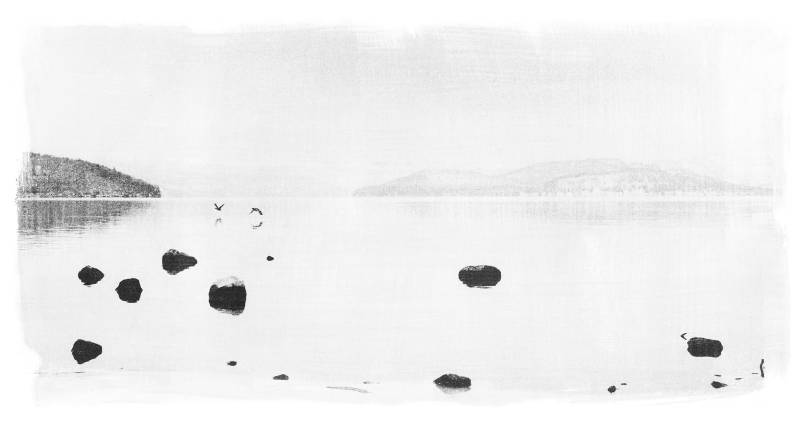 Margaret Lansink, Birds, Liquid Light, 2021