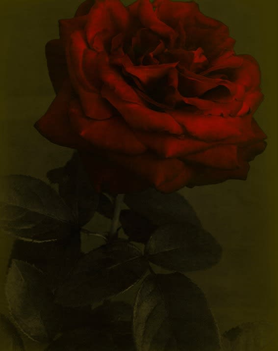 Rala Choi, Emotion Training 4, 2021