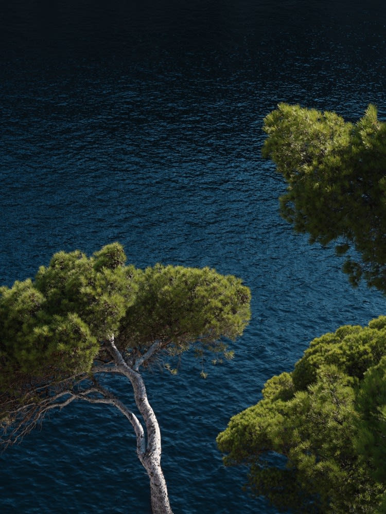 Sandro Diener, Mediterranean Coast I, France, 2024