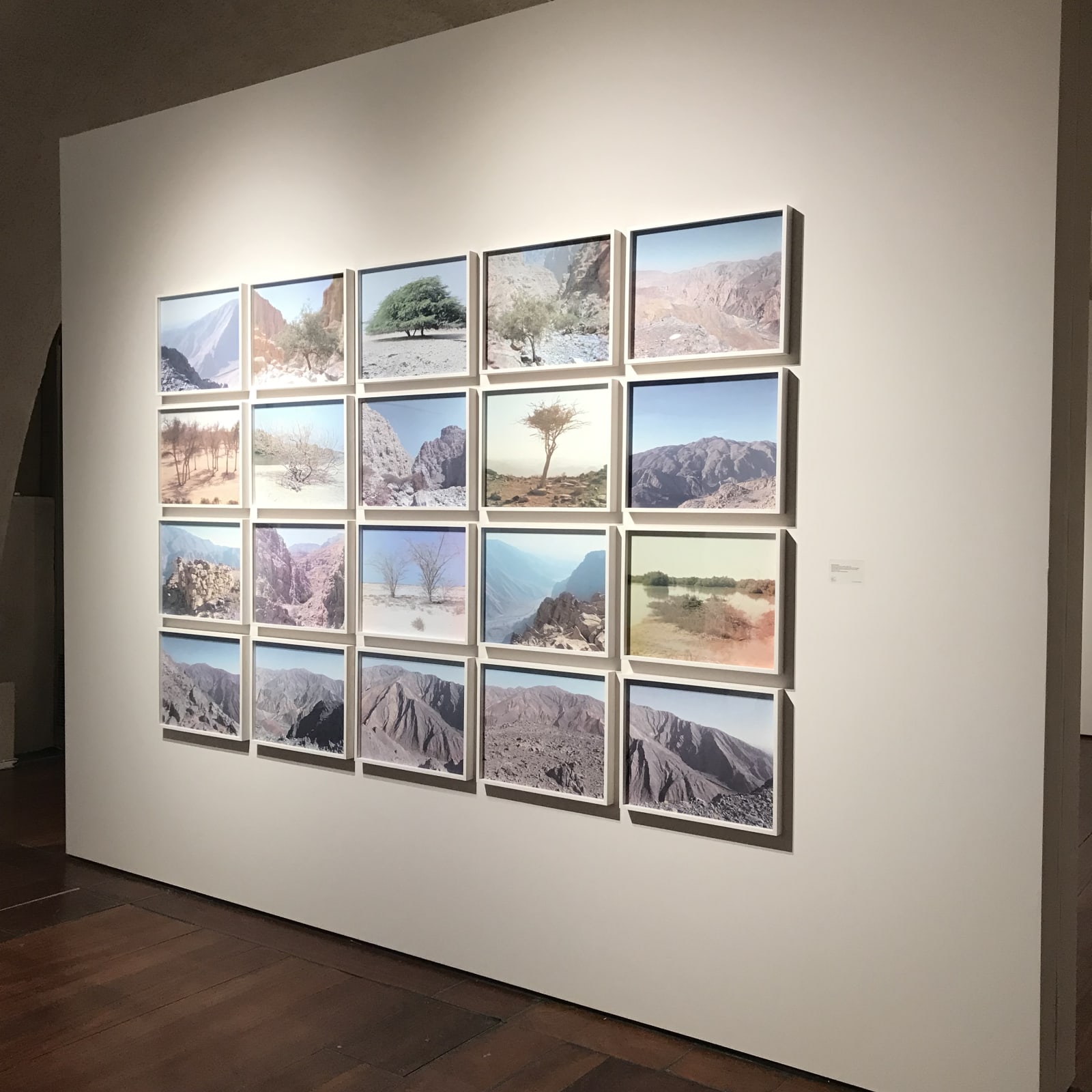 Steve Macleod, Untitled (installation), 2015-2017